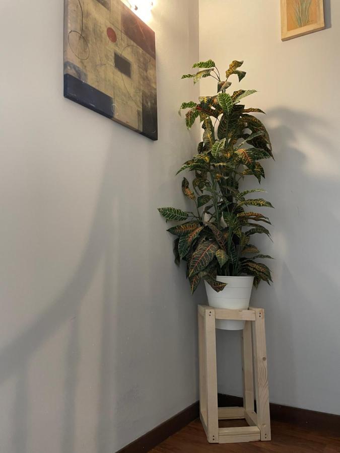 Hostal El Nuevo Salau Cudillero Exteriör bild